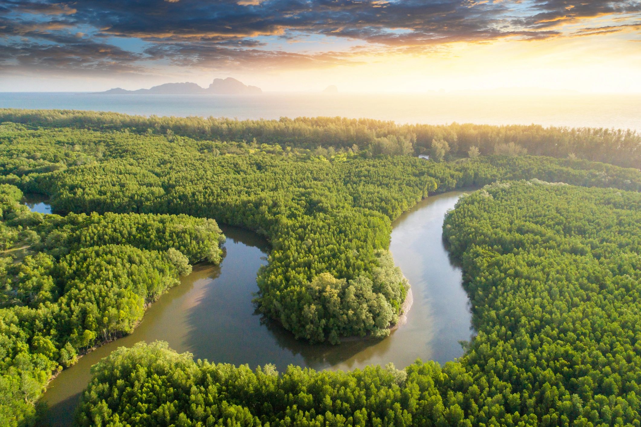 Coastal ecosystem and shoreline viewed from above