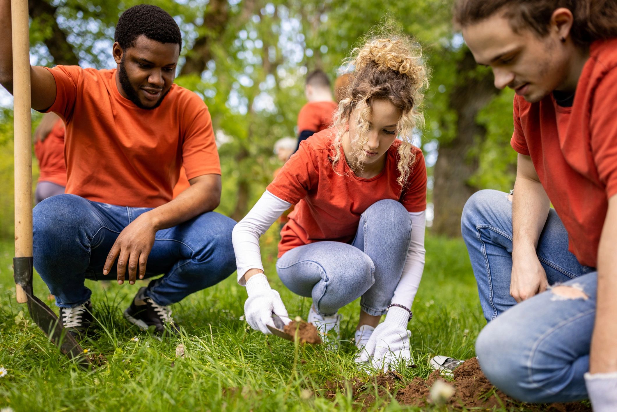 Volunteers planting trees together