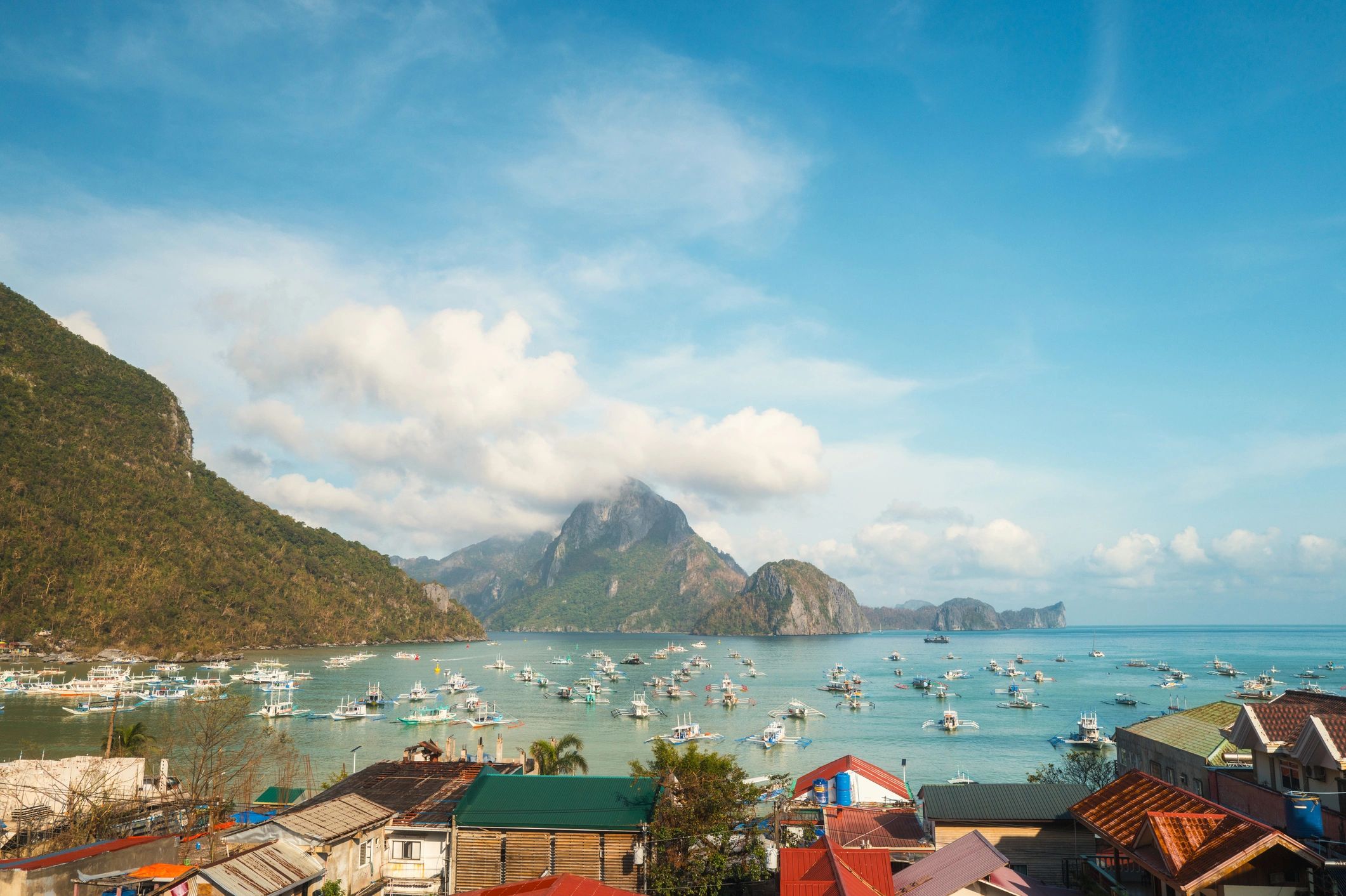 Tropical island landscape showing natural environment